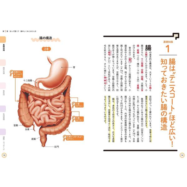 ご確認用です。ご希望の番号コメントください♡ 光センサー透過♡安心の糖度保証付き♡肥後グリーン♡6玉♡