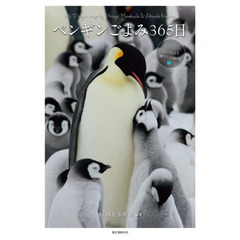 ペンギンごよみ３６５日　愛くるしい姿に出会う癒やしの瞬間