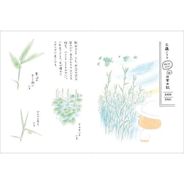 工藤ノリコBOOK 絵本 マンガ 旅日記 イラストレーション 増補改訂