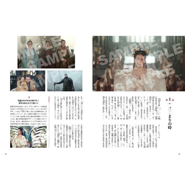 中国ドラマ DVD 上陽賦 運命の王妃 全34巻セット（上陽賦～運命