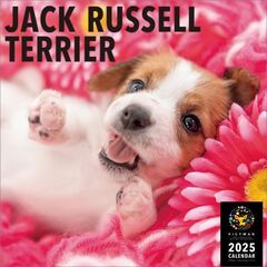 ジャック・ラッセル・テリア 2025年カレンダー