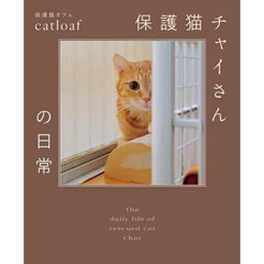 保護猫チャイさんの日常