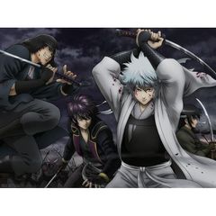 銀魂　ジャンプアニメツアー2008＆2005（ＤＶＤ）
