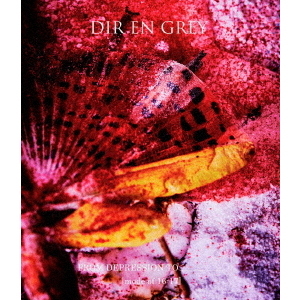 FROM DEPRESSION TO ______ ［mode of 16－17］（Blu－ray