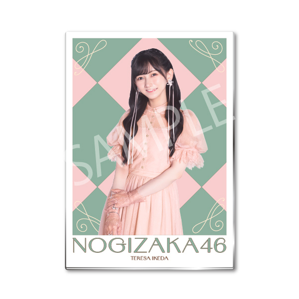 乃木坂46 池田瑛紗 直筆サイン入り フード付きクリスマスタオル 乃木フェス 乃木坂46 池田瑛紗 直筆サイン入り フード付きクリスマスタオル 乃木