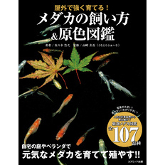 屋外で強く育てる！ メダカの飼い方＆原色図鑑