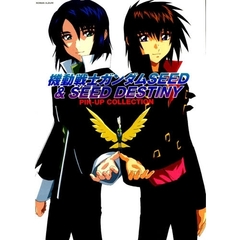 ガンダムＳＥＥＤ＆ＤＥＳＴＩＮＹ　ＰＩＮ