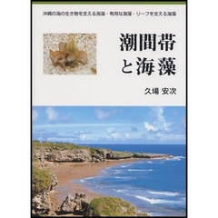 潮間帯と海藻　沖縄の海の生き物を支える海