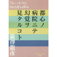 都心ノ病院ニテ幻覚ヲ見タルコト