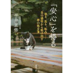 「安心」を得る　怒り、焦り、妬み……負の感情から脱け出す禅の処方箋