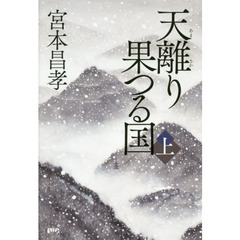 天離り果つる国　上