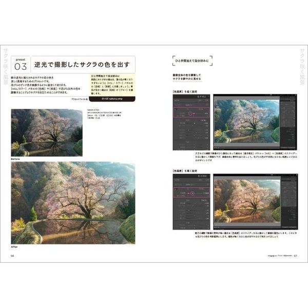 風景写真ＲＡＷ現像入門　１クリックでかんたん絶景仕上げ　Ａｄｏｂｅ　Ｌｉｇｈｔｒｏｏｍ　Ｃｌａｓｓｉｃ　＆　Ｐｈｏｔｏｓｈｏｐ