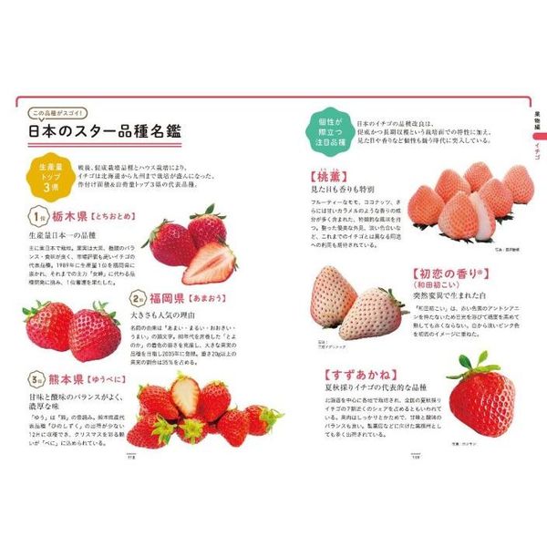 野菜と果物すごい品種図鑑 知られざるルーツを味わう 通販｜セブン