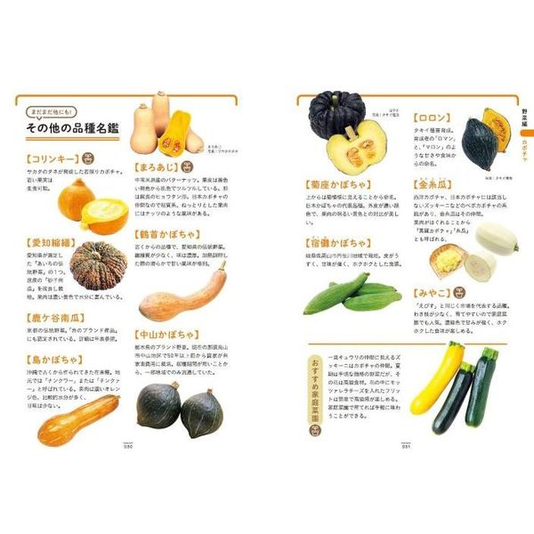 花図鑑野菜+果物 - 趣味・スポーツ・実用