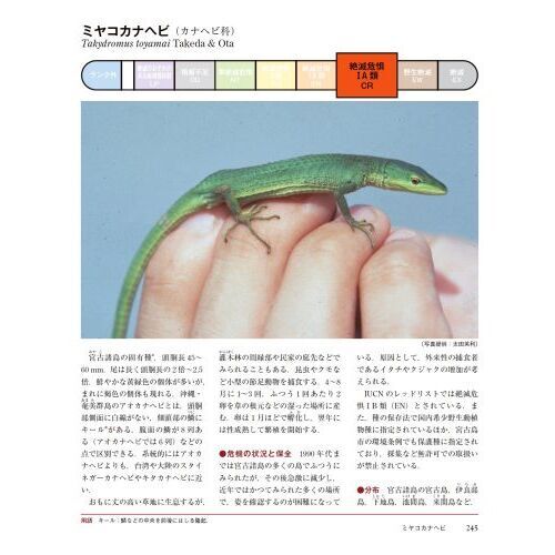 日本の絶滅危惧生物図鑑 環境省レッドリスト 通販｜セブンネット