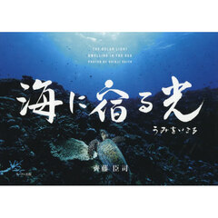 海に宿る光