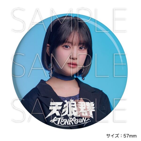 超入手困難‼️新品、未開封【廃盤】 「上海華夏民族楽団/漢方癒音「気功」」 CD imgrc0100548424.jpg