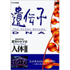 NHKスペシャル 驚異の小宇宙 人体 III 遺伝子 DNA 第3集 日本人のルーツを探れ ～人類の設計図～（ＤＶＤ）