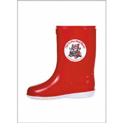 Cat　in　the　Red　Boots　SHINKANSEN☆NEXUS　vol．2（ＤＶＤ）