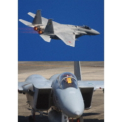 F-15 イーグル デモフライト・スペシャル Vol.4（ＤＶＤ）