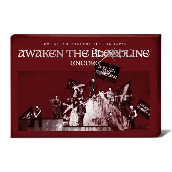 &TEAM／2025 &TEAM CONCERT TOUR 'AWAKEN THE BLOODLINE' ENCORE