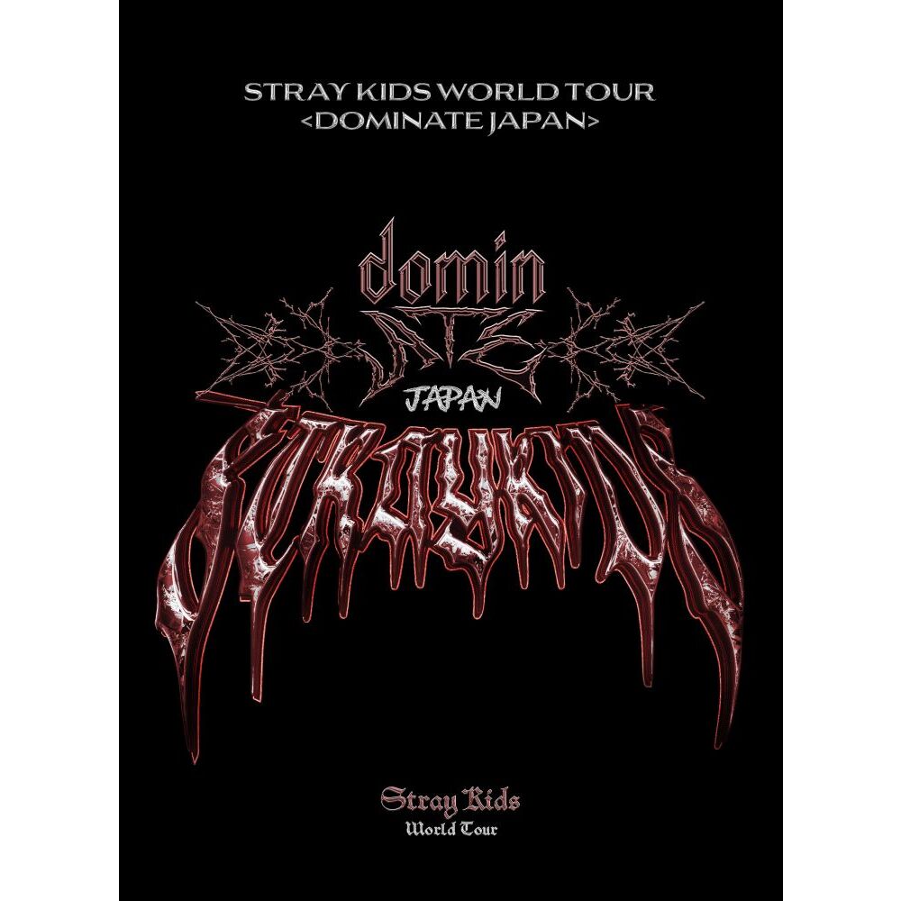 【未開封】STRAY KIDS 2ND WORLD TOUR 日本完全生産限定盤 Stray Kids LIVE Blu-ray 『Stray Kids 2nd World Tour “MANIAC