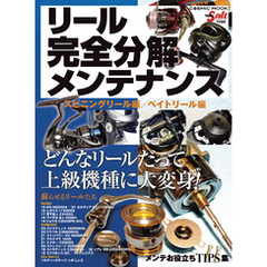 リール完全分解メンテナンス