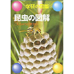 昆虫の図解