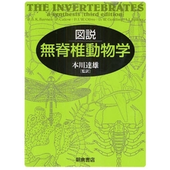 図説無脊椎動物学