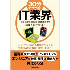 ３０分でつかむ！ＩＴ業界　会社・仕事の仕組みから最新事情まで