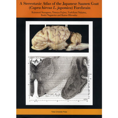 Ａ　Ｓｔｅｒｅｏｔａｘｉｃ　Ａｔｌａｓ　ｏｆ　ｔｈｅ　Ｊａｐａｎｅｓｅ　Ｓａａｎｅｎ　Ｇｏａｔ〈Ｃａｐｒａ　ｈｉｒｃｕｓ　Ｌ．ｊａｐｏｎｉｃａ〉Ｆｏｒｅｂｒａｉｎ