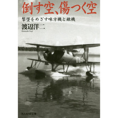 倒す空、傷つく空　撃墜をめざす味方機と敵機
