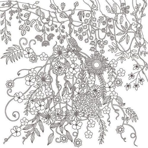 花と動物の不思議な世界 大人のリラックスぬり絵 通販｜セブンネット