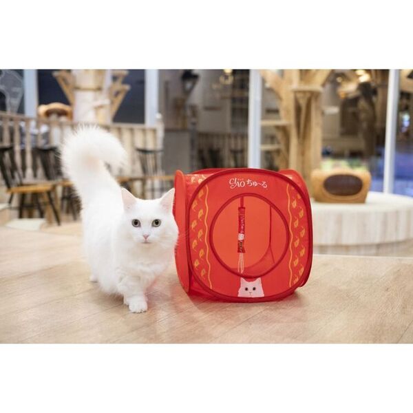 CIAOちゅ～る 世界の猫を喜ばす キャットハウスBOOK (バラエティ) 通販