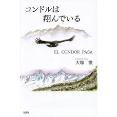 コンドルは翔んでいる