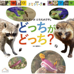 どっちがどっち？