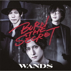 WANDS　CD DVDセット jbcj-1006.jpg