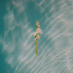 In　Each　Moment