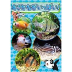 おさかながいっぱい！（ＤＶＤ）