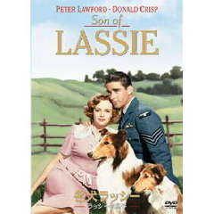 名犬ラッシー／ラッシーの息子（ＤＶＤ）