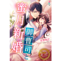 エリート御曹司と蜜月新婚【華麗なる溺愛シリーズ】