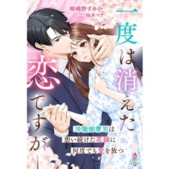 一度は消えた恋ですが――冷徹御曹司は想い続けた花嫁に何度でも愛を放つ