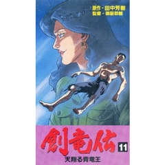 ビデオ　創竜伝　　１１