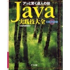 Ｊａｖａ実践技大全　アッと驚く達人の技