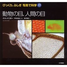 動物の目、人間の目