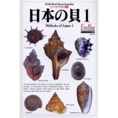 日本の貝　１　巻貝