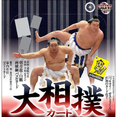 ＢＢＭ　’１０　大相撲カード