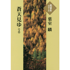 蒼天見ゆ　上