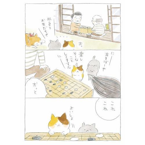 まめねこ10 ―あずきちゃんとだいずちゃん あずきちゃんとだいずちゃん 通販｜セブンネットショッピング