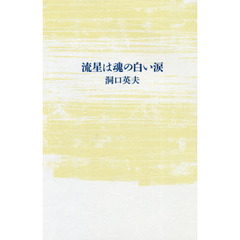流星は魂の白い涙